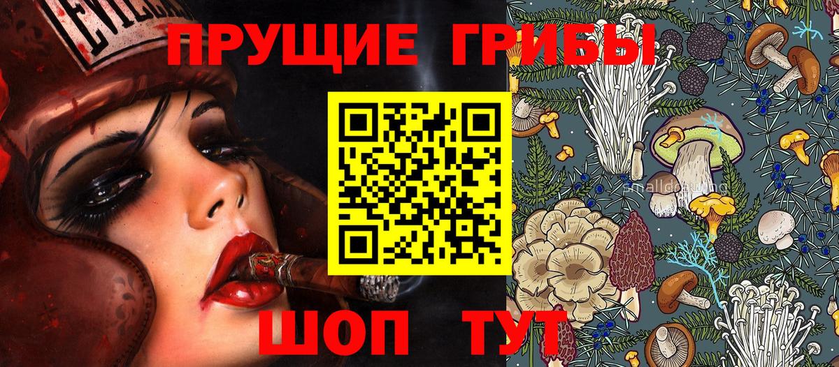 Минеральные Воды  Галлюциногенные грибы Cubensis  Вход с VPN  Псилоцибиновые грибы мицелий 